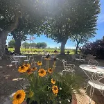 Du Mas - Provencal Avec Jardin Commun 公寓