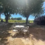 公寓 Du Mas - Provencal Avec Jardin Commun