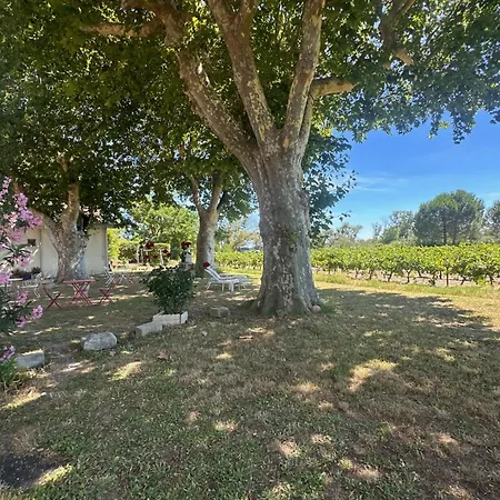 Du Mas - Provencal Avec Jardin Commun Daire *