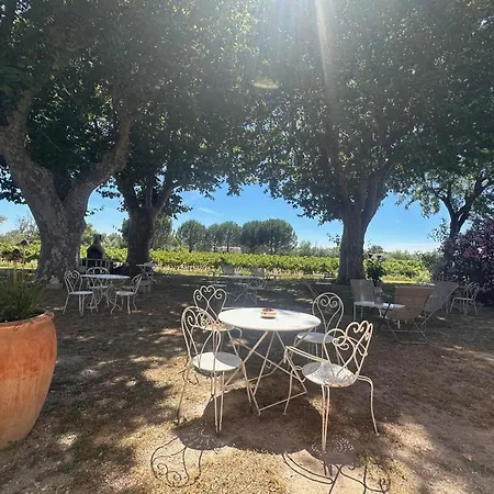 Daire Du Mas - Provencal Avec Jardin Commun