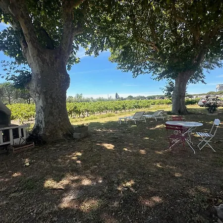 Daire Du Mas - Provencal Avec Jardin Commun *
