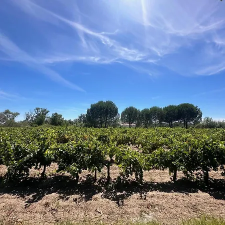 Du Mas - Provencal Avec Jardin Commun *