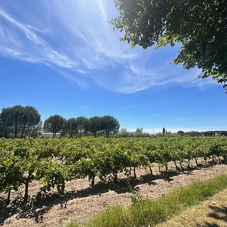 Du Mas - Provencal Avec Jardin Commun Daire *