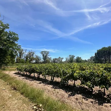 Du Mas En Camargue Proche Appartamento *